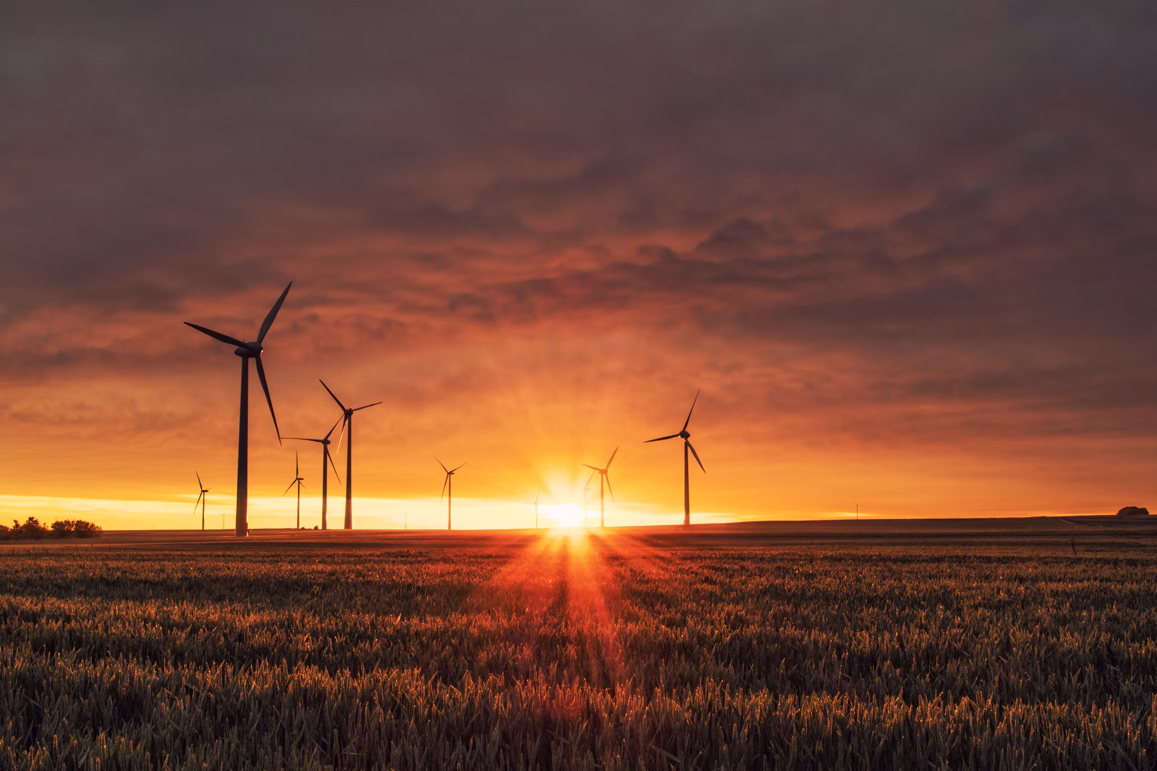 Renewables placeholder